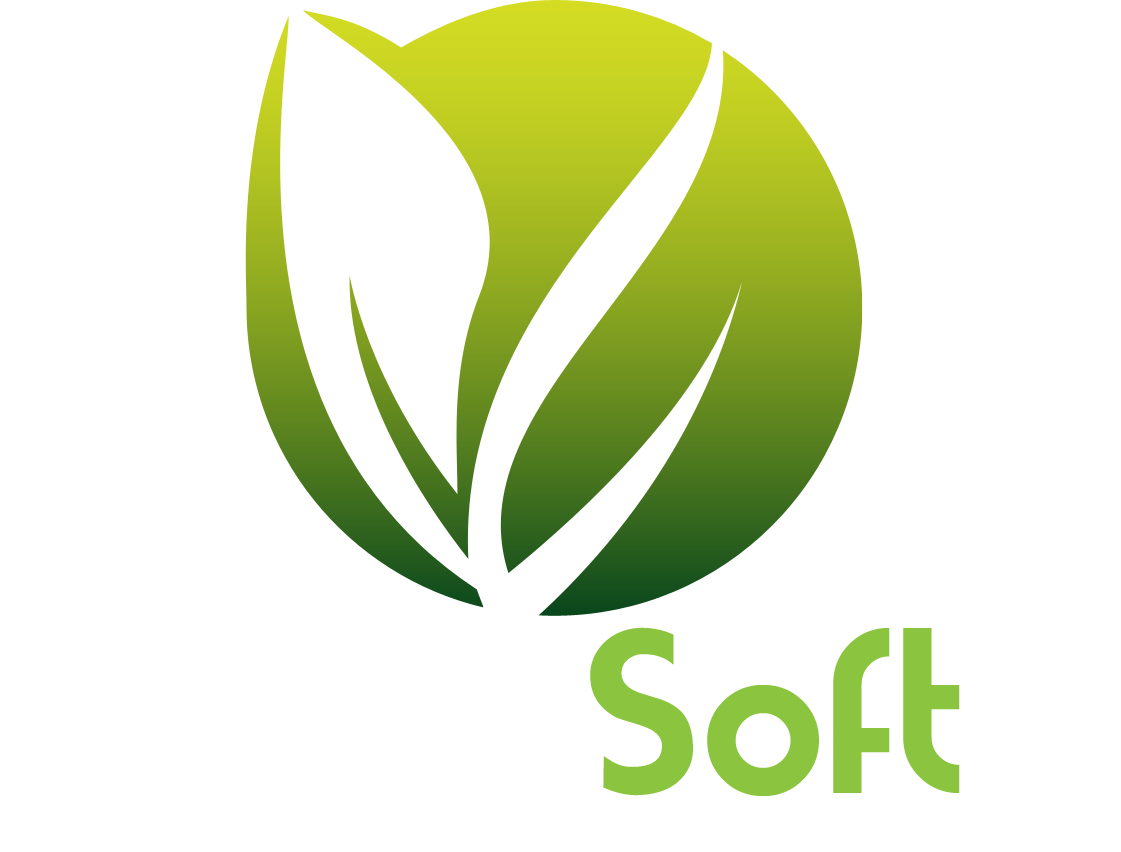 VidiaSoft